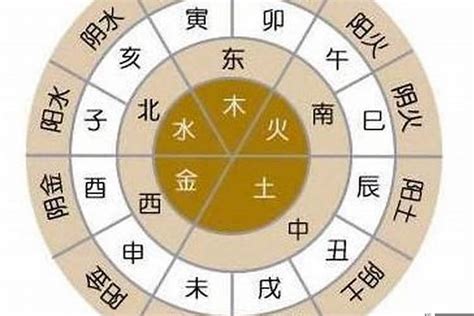 八字 辛金|十天干命主白話解說